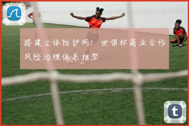 搭建立体防护网：世俱杯商业合作风险治理体系框架