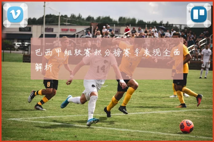 巴西甲组联赛积分榜赛季表现全面解析