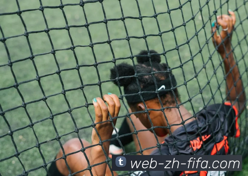 世界杯买球发展历程