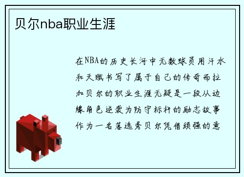 贝尔nba职业生涯